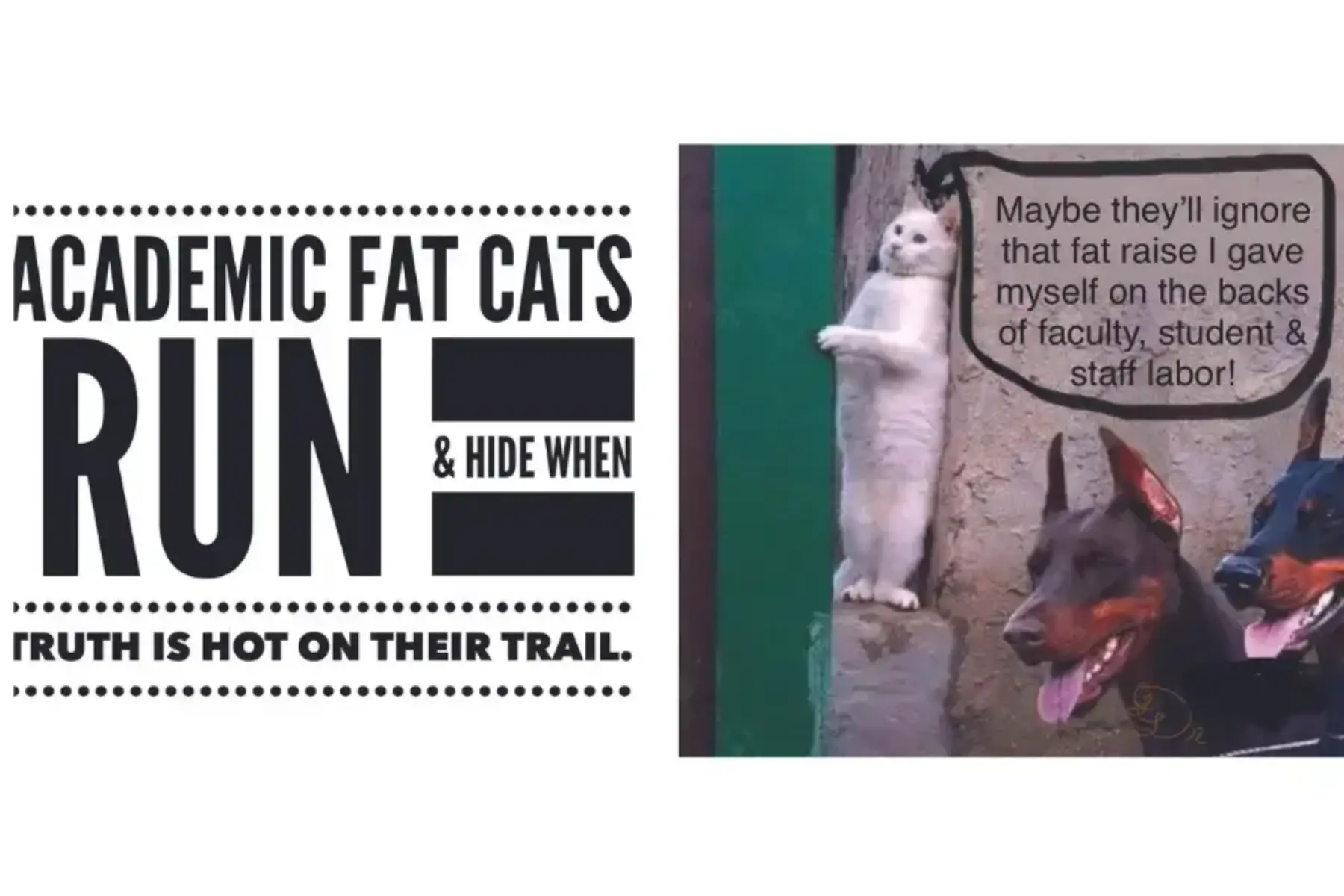 White background. On the left half is a block of black text that reads Academic Fat Cats Run & Hide When Truth is Hot on Their Trail. On the right half is a white cat standing up on their back paws hiding behind a cement structure. A quote bubble is pops out to the right of the cat with black text that reads Maybe they’ll ignore that fat raise I gave myself on the backs of faculty, student, and staff labor!” To the lower left of the cat are two Doberman dogs with their ears erect and tongues hanging out.